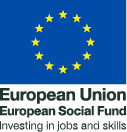 Flag of the European Union - European Social Fund