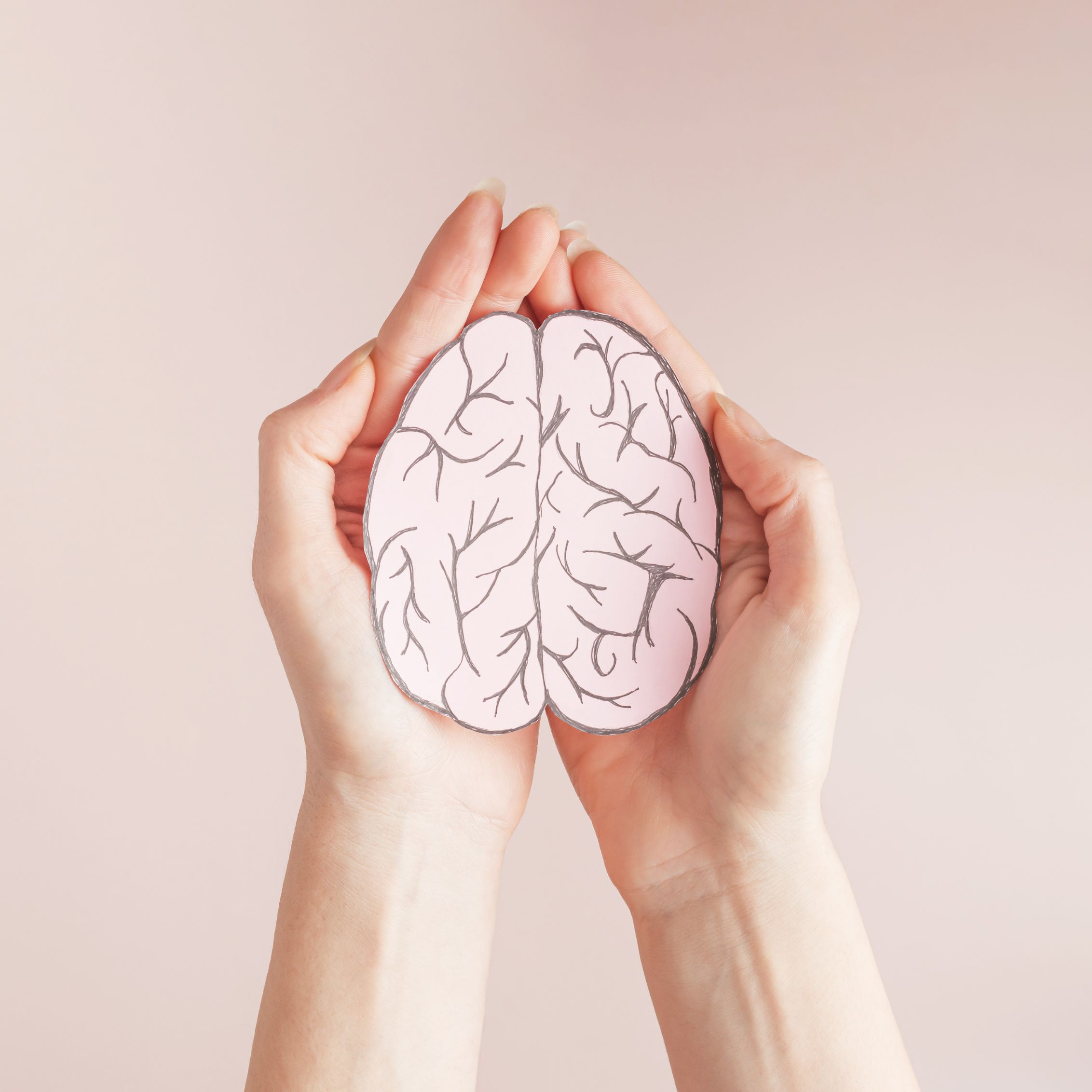 Drawing of brain in person's hands